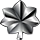 Lieutenant Colonel