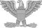 Colonel